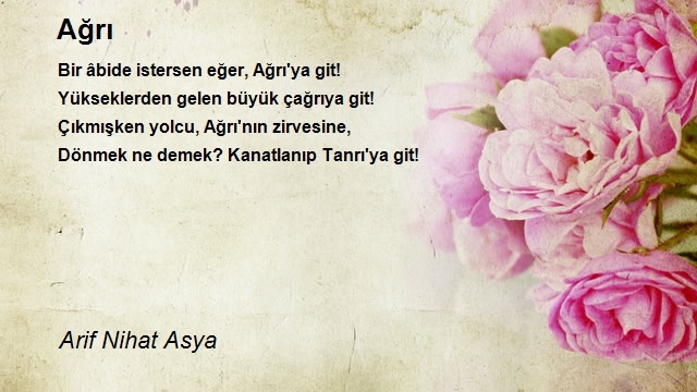 Arif Nihat Asya