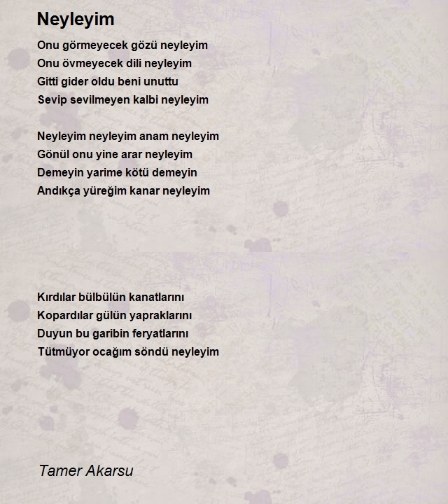 Tamer Akarsu