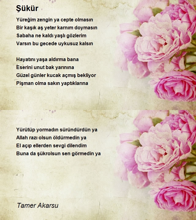 Tamer Akarsu