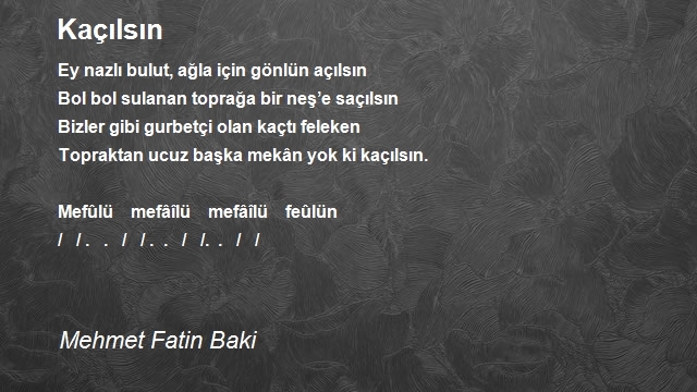 Mehmet Fatin Baki