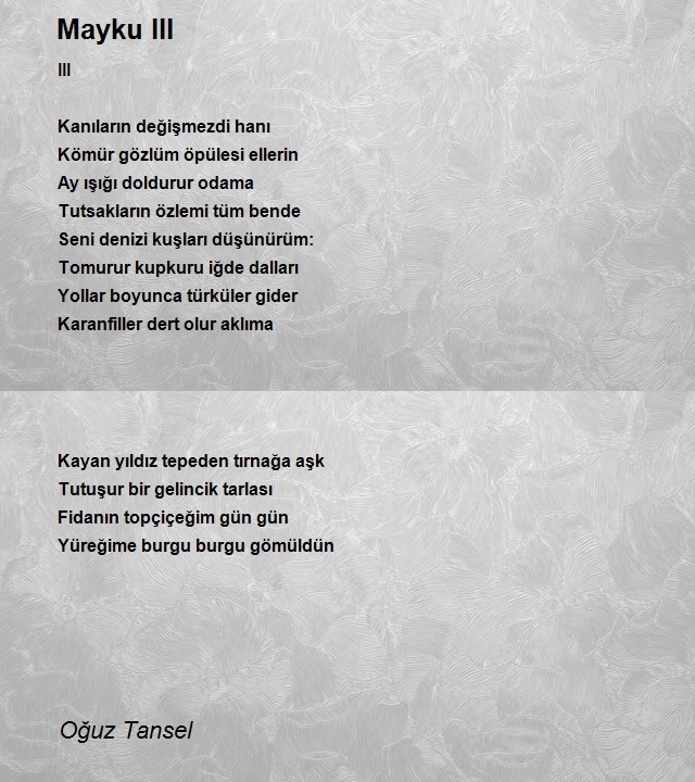 Oğuz Tansel