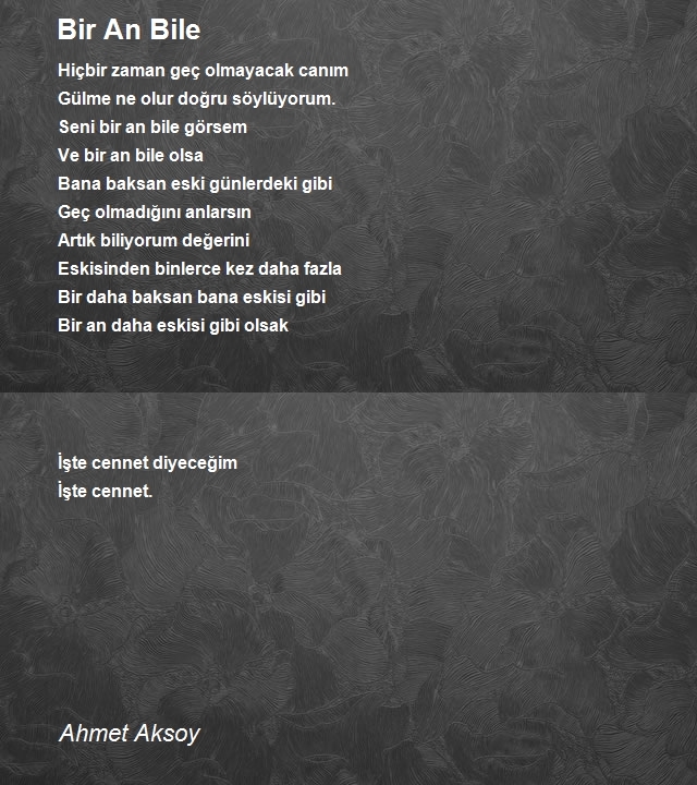 Ahmet Aksoy