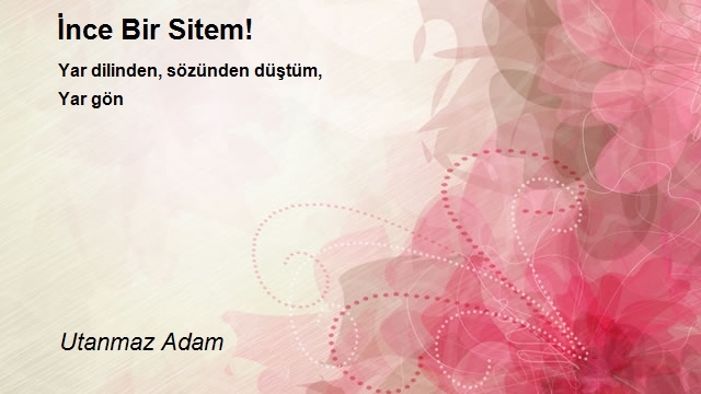 Utanmaz Adam