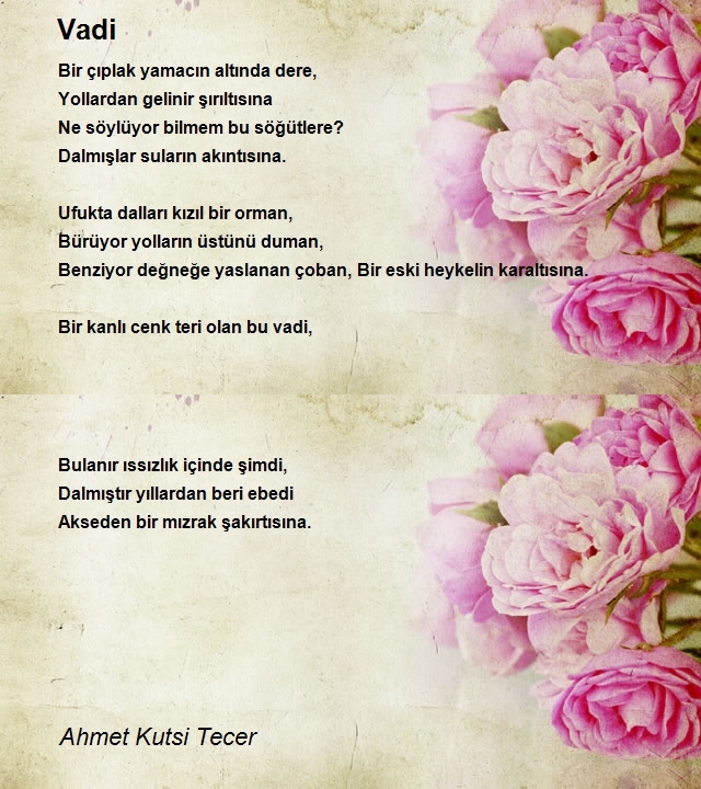 Ahmet Kutsi Tecer