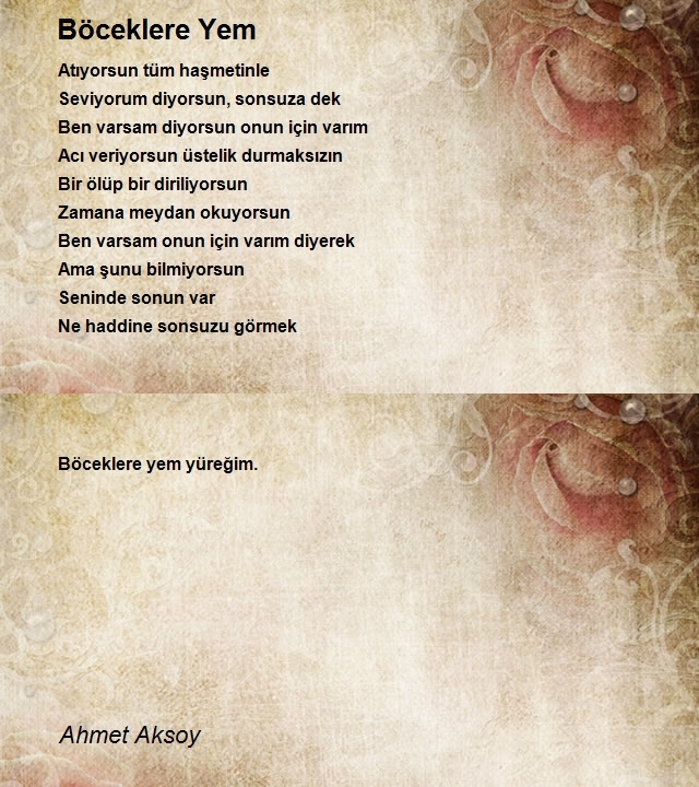 Ahmet Aksoy