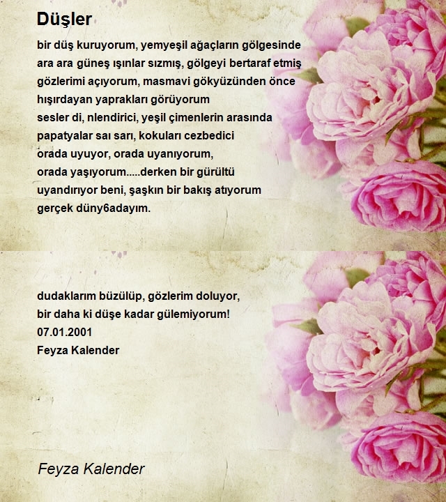 Feyza Kalender