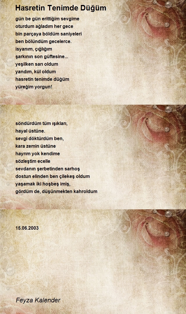 Feyza Kalender