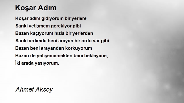 Ahmet Aksoy