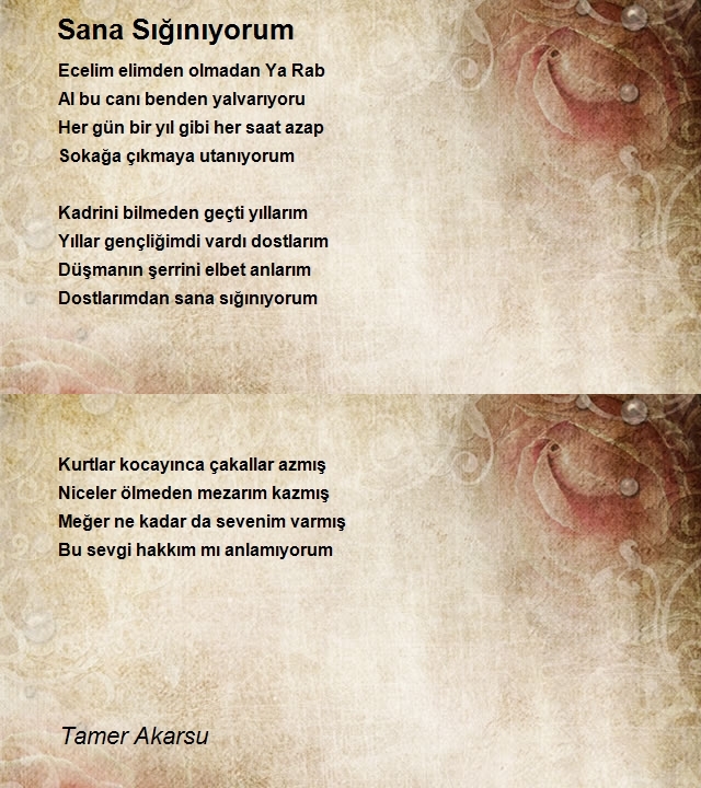 Tamer Akarsu