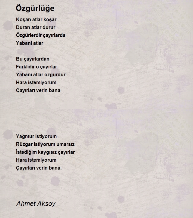 Ahmet Aksoy