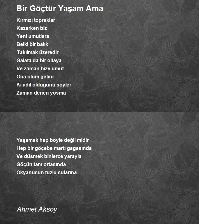 Ahmet Aksoy