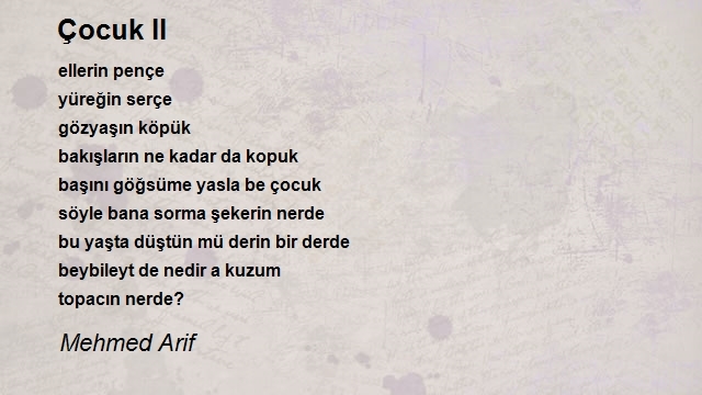 Mehmed Arif