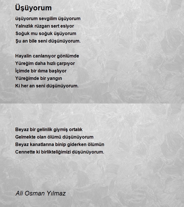 Ali Osman Yılmaz