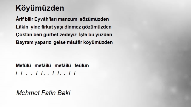 Mehmet Fatin Baki