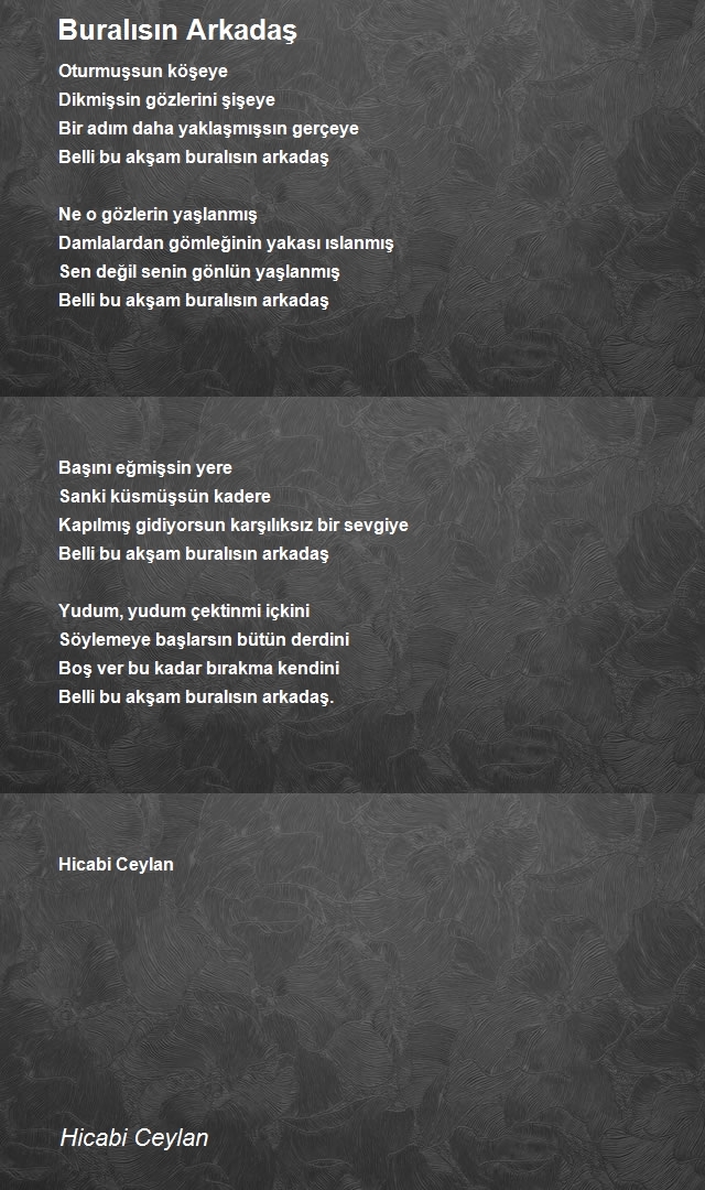 Hicabi Ceylan