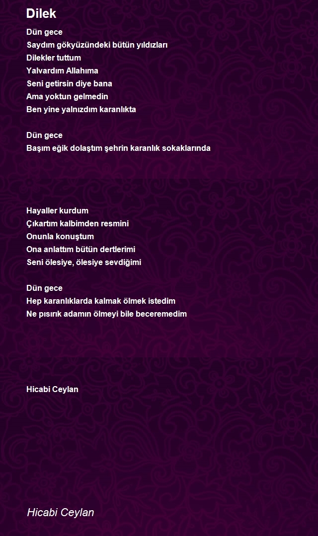 Hicabi Ceylan