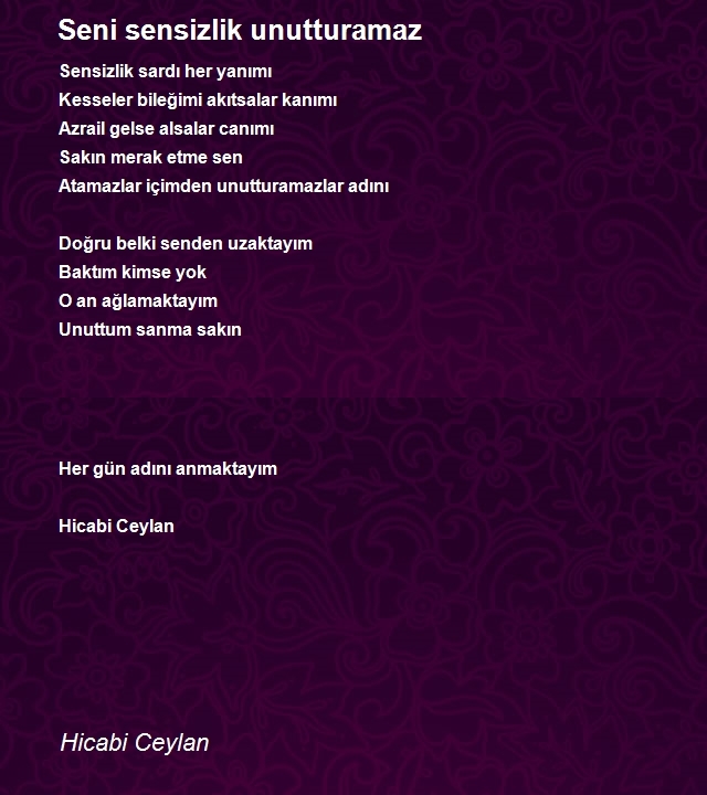 Hicabi Ceylan