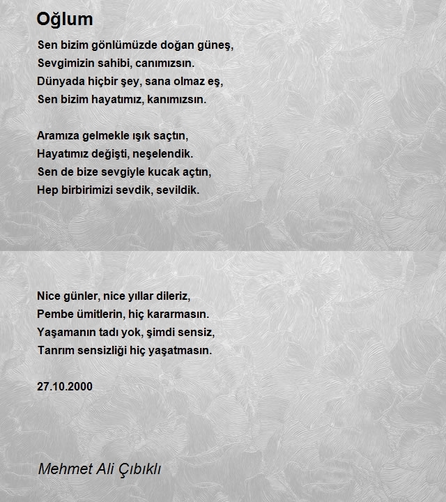 Mehmet Ali Çıbıklı