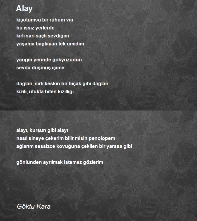 Göktu Kara