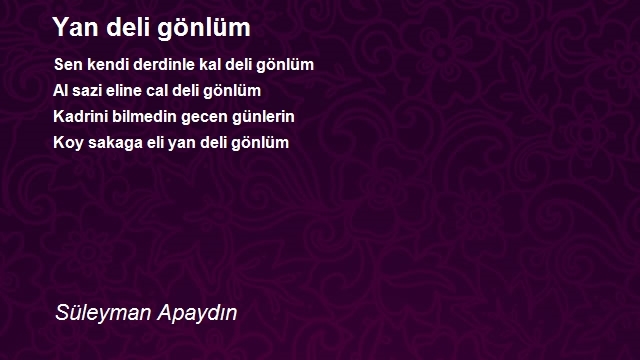 Süleyman Apaydın