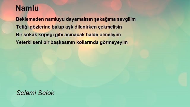 Selami Selok