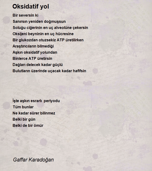 Gaffar Karadoğan