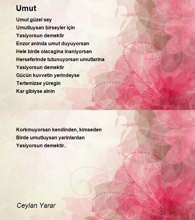 Ceylan Yarar