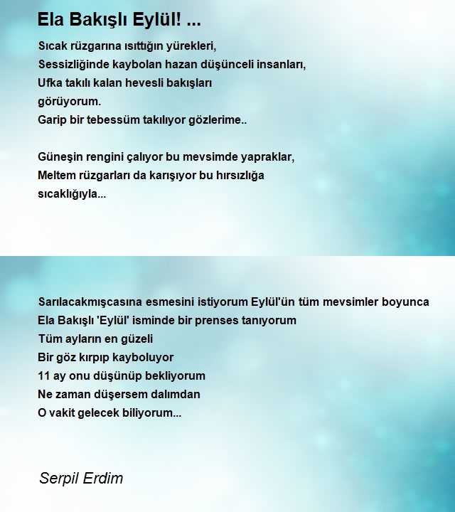 Serpil Erdim