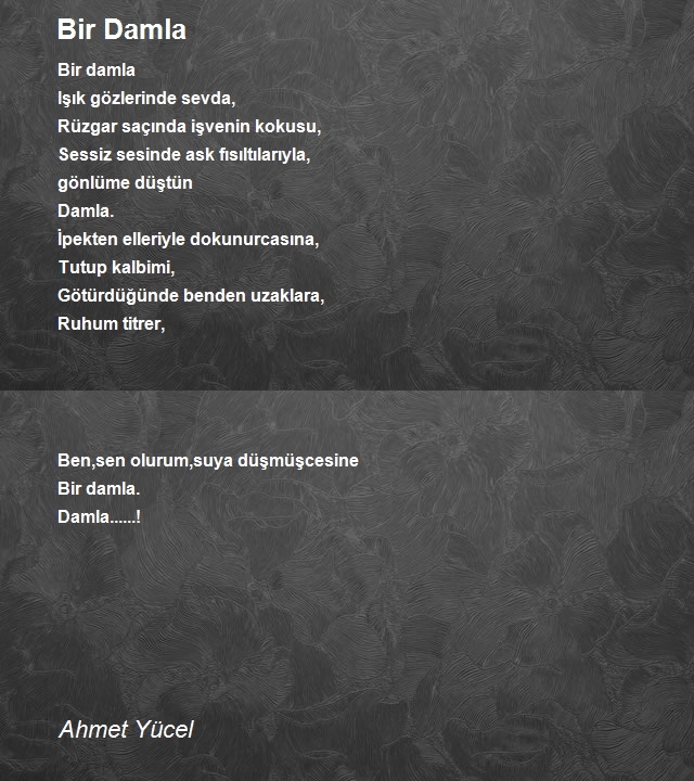 Ahmet Yücel