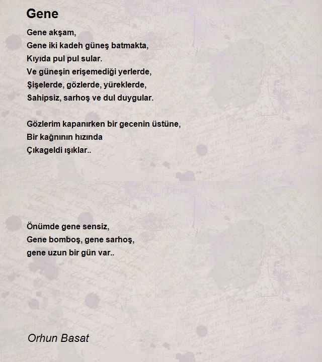 Orhun Basat