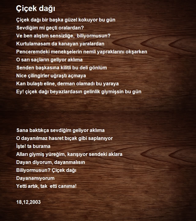 Hicabi Ceylan