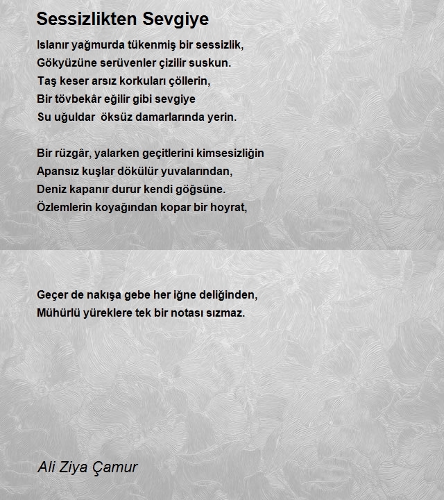 Ali Ziya Çamur