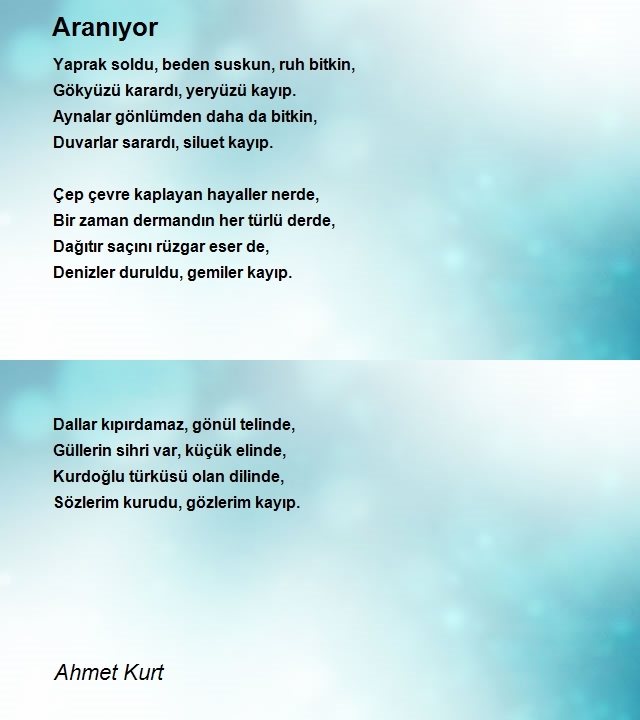 Ahmet Kurt