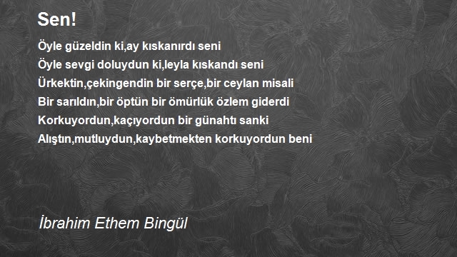 İbrahim Ethem Bingül