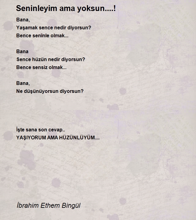 İbrahim Ethem Bingül