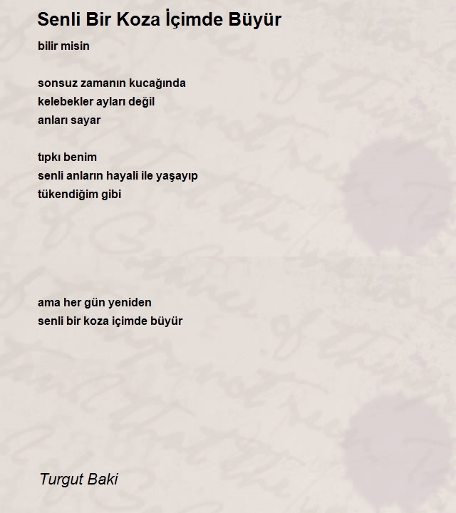 Turgut Baki