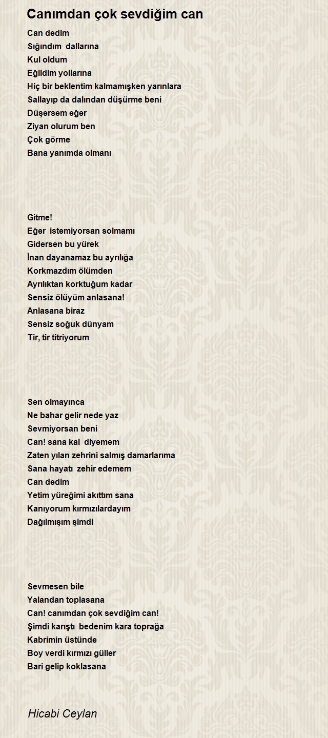 Hicabi Ceylan