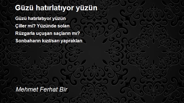 Mehmet Ferhat Bir