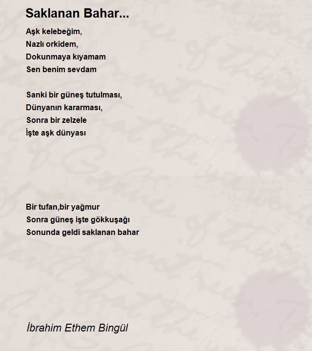 İbrahim Ethem Bingül