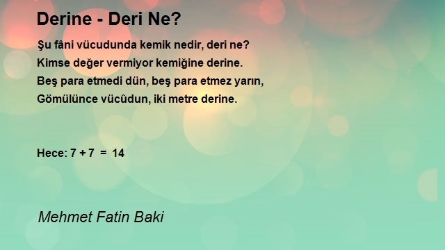 Mehmet Fatin Baki