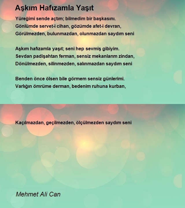 Mehmet Ali Can