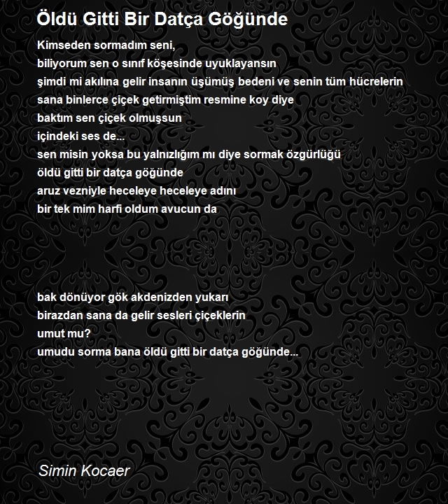 Simin Kocaer