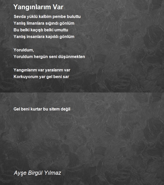 Ayşe Birgül Yılmaz