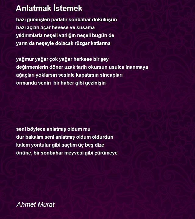 Ahmet Murat