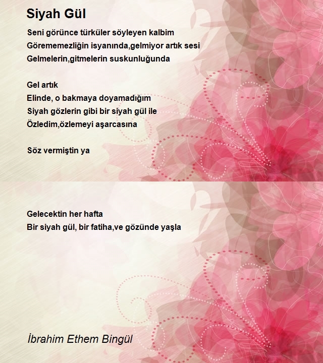 İbrahim Ethem Bingül