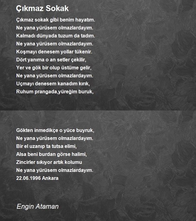 Engin Ataman