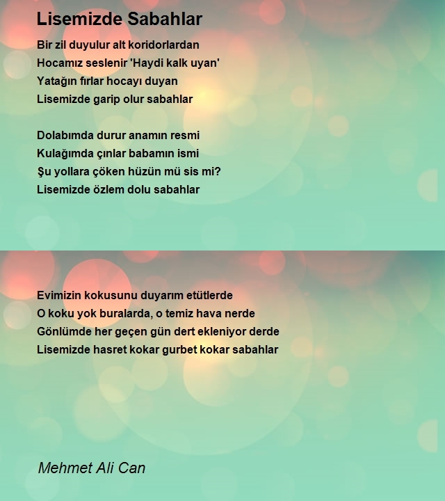 Mehmet Ali Can