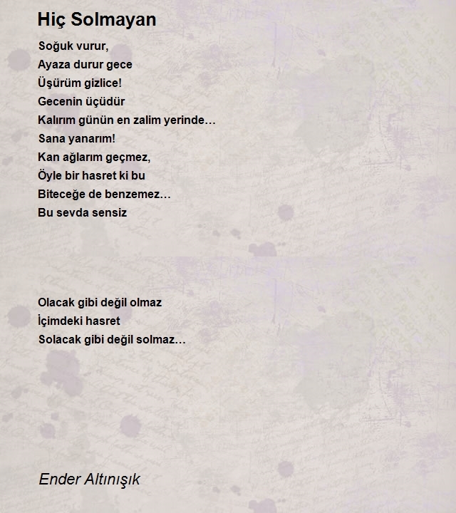 Ender Altınışık