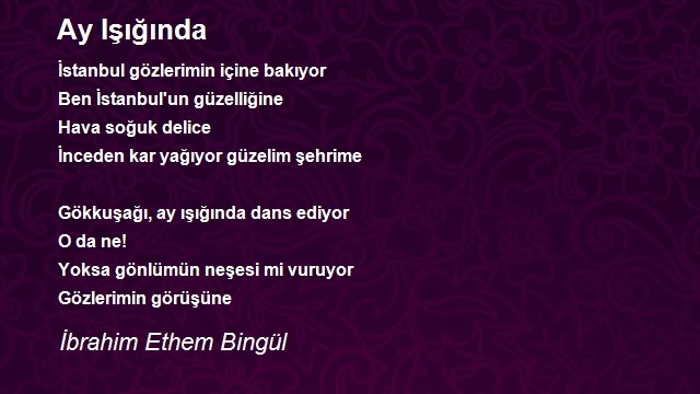 İbrahim Ethem Bingül