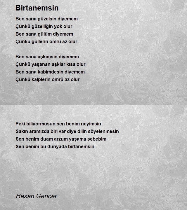 Hasan Gencer